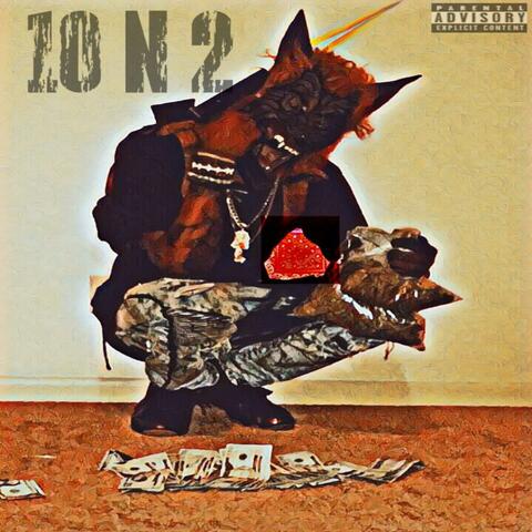 10 N 2