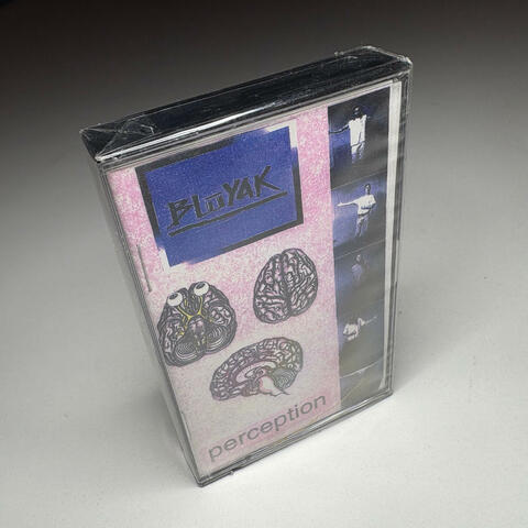 Diversity (Remastered)