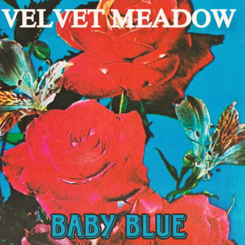 BABY BLUE