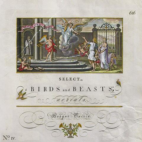Birds & Beasts