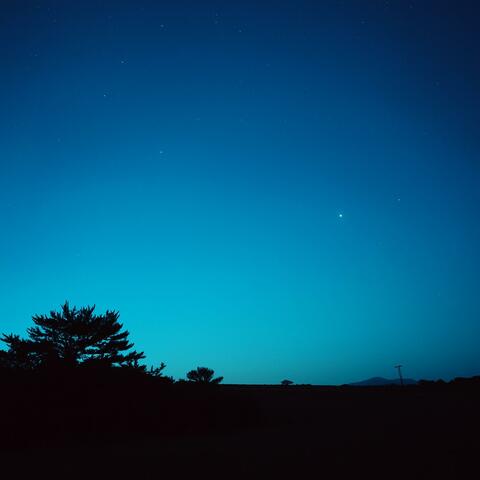 Midnight Confessions