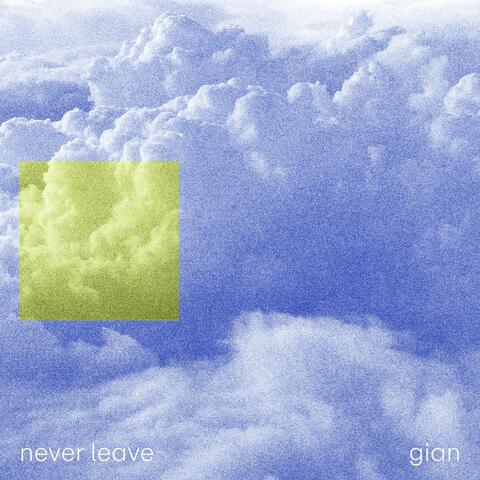 never leave