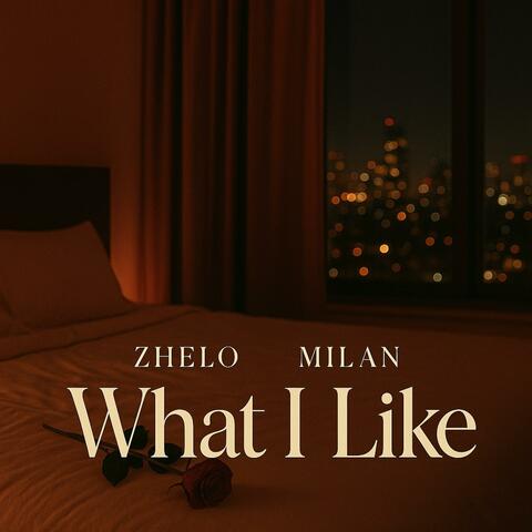 What I Like (feat. Milan)