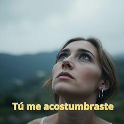 Tú me acostumbraste