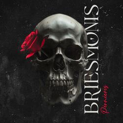 Briesmonis