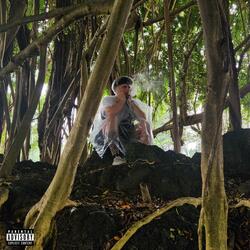 Best I Can (feat. Mc.lovin)