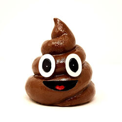 #1 Poop Song (for Dancing)