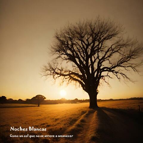 Como un sol que no se atreve a amanecer