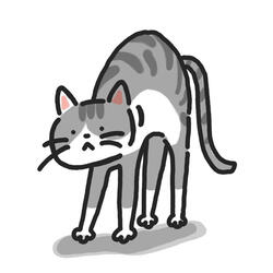 Kitty Cat Kit kit kat