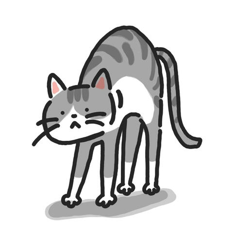 Kitty Cat Kit kit kat