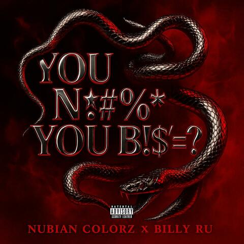 You Niggas, You Bitches (feat. Nubiann Colorz)