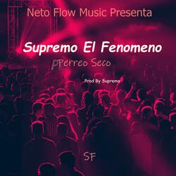 Perreo Seco