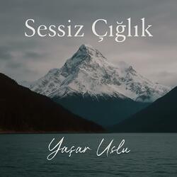Sessiz Çığlık