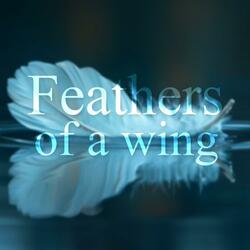 Feathers of a wing