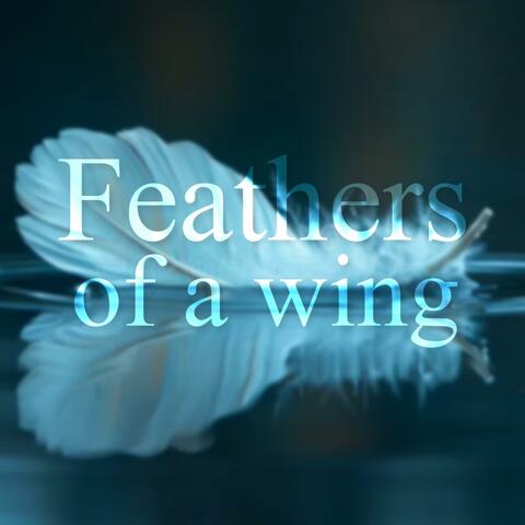 Feathers of a wing