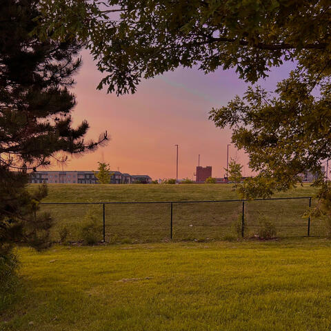 the sky looked beautiful today