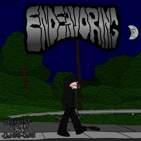 ENDEAVORING