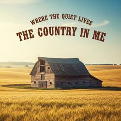 Where the Quiet Lives