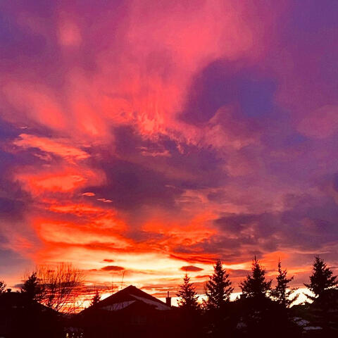 Serotonin Sundown