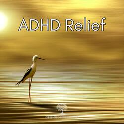 ADHD Music, Focus Music for Better Concentration, Study Music for ADD