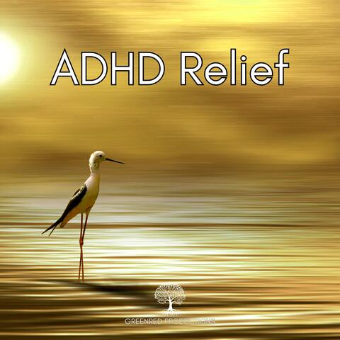 ADHD Music, Focus Music for Better Concentration, Study Music for ADD