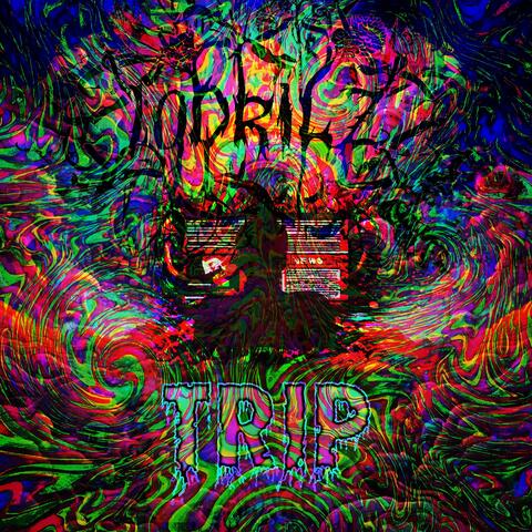 Trip