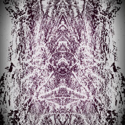 Vestige