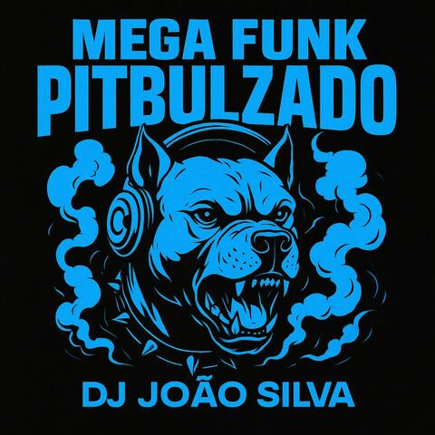 MEGA FUNK PITBULZADO