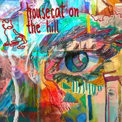 housecat on the hill