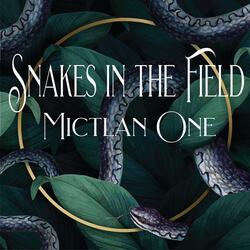 Snakes in the field