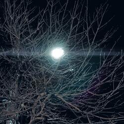 A Nadie Le Va a Importar Donde Muera