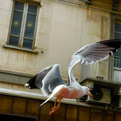 Nel bene e nel male (feat. Stabber M.C.)