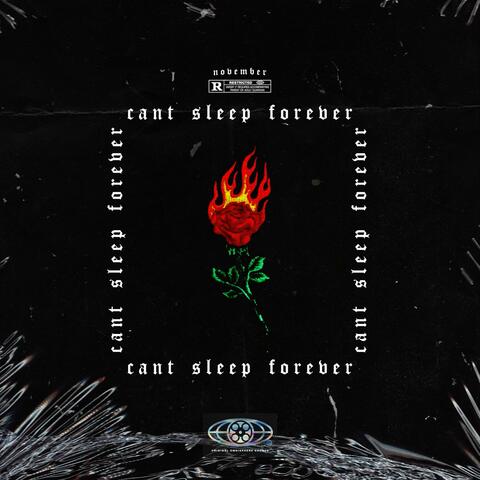 CANT SLEEP FOREVER