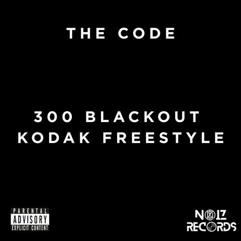 300 Blackout Freestyle