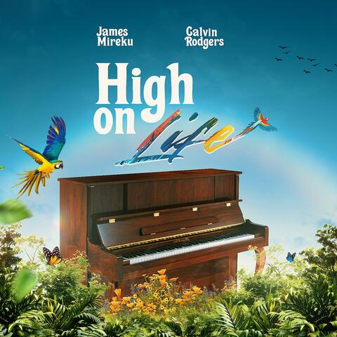 High on Life  (feat. Calvin Rodgers) [Live]