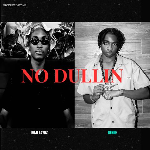 NO DULLIN (feat. Geniie)