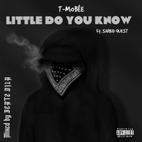 Little do you know (feat. T-Mobee)
