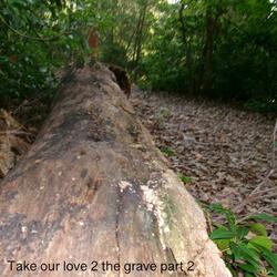 Take Our Luv 2 The Grave, Pt. 2