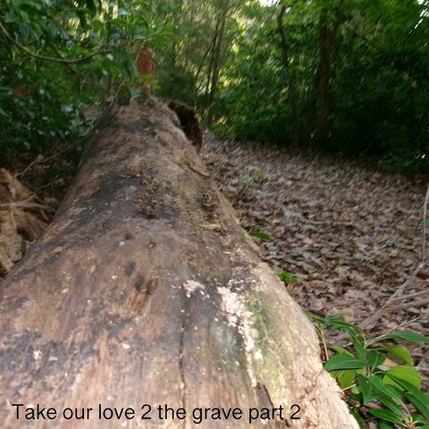 Take Our Luv 2 The Grave, Pt. 2