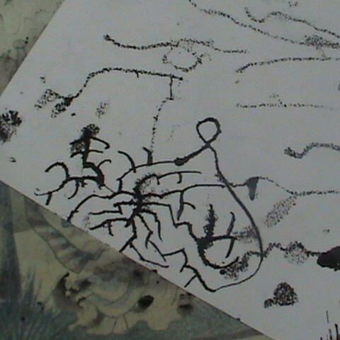 Degradation Of My Mind