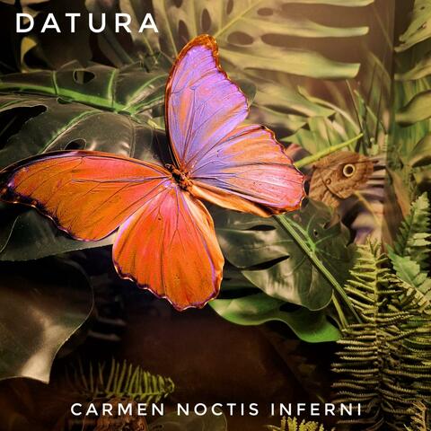 Carmen Noctis Inferni