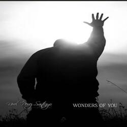 Wonders Of You