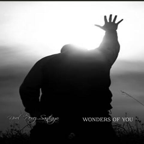Wonders Of You