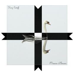 l'Oiseau d'Amour