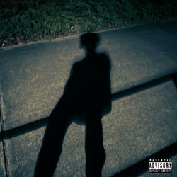 shadowplay