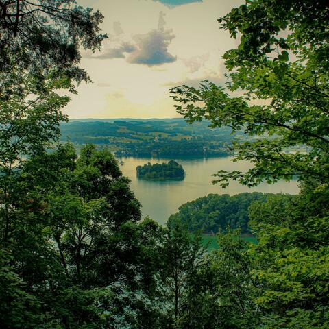 Serene Vista