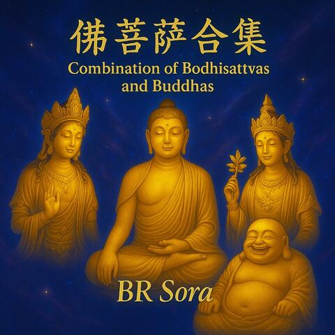 佛菩薩合集 Combination of Buddhisattvas and Buddhas