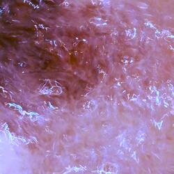 somehow disappointing