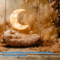 Slumber Sonata Symphony