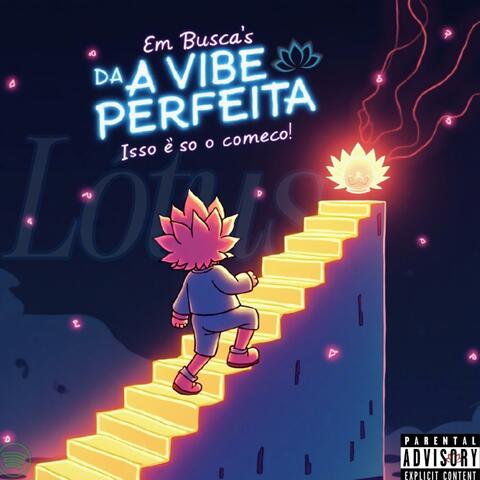 EM BUSCA DA VIBE PERFEITA